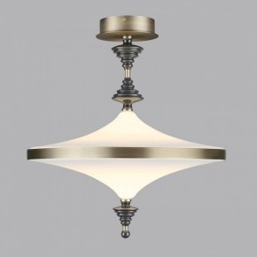 Светильник на штанге Odeon Light Ula 5404/43CL в Озерске - ozersk.mebel24.online | фото 3