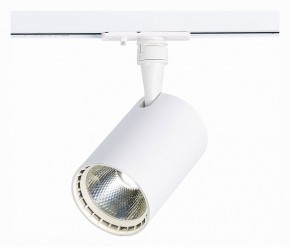 Светильник на штанге ST-Luce Cami ST351.536.20.36 в Озерске - ozersk.mebel24.online | фото 2