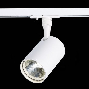 Светильник на штанге ST-Luce Cami ST351.536.20.36 в Озерске - ozersk.mebel24.online | фото 6