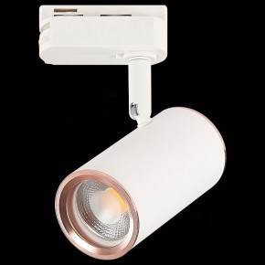 Светильник на штанге ST-Luce Cromi ST301.526.01 в Озерске - ozersk.mebel24.online | фото 4