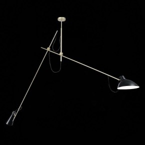Светильник на штанге ST-Luce Jarro SL1803.203.02 в Озерске - ozersk.mebel24.online | фото 3