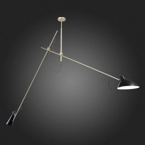Светильник на штанге ST-Luce Jarro SL1803.203.02 в Озерске - ozersk.mebel24.online | фото 4