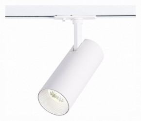 Светильник на штанге ST-Luce Mono ST350.536.20.36 в Озерске - ozersk.mebel24.online | фото 2