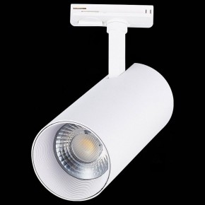 Светильник на штанге ST-Luce Mono ST350.546.30.36 в Озерске - ozersk.mebel24.online | фото 6