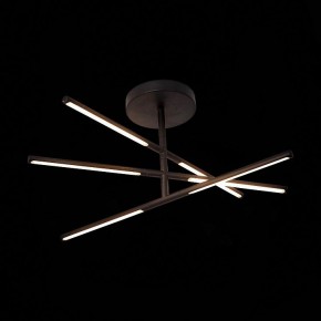 Светильник на штанге ST-Luce Ralio SL1580.403.03 в Озерске - ozersk.mebel24.online | фото 3