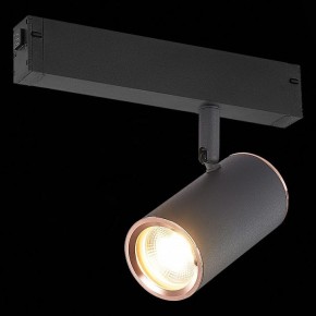 Светильник на штанге ST-Luce SKYLINE 220 ST504.426.01 в Озерске - ozersk.mebel24.online | фото 2