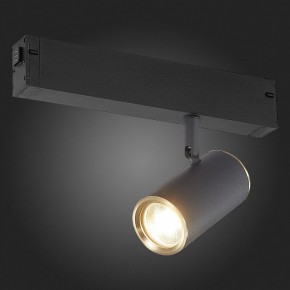 Светильник на штанге ST-Luce SKYLINE 220 ST504.436.01 в Озерске - ozersk.mebel24.online | фото 3