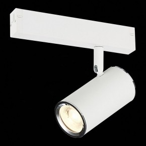 Светильник на штанге ST-Luce SKYLINE 220 ST504.506.01 в Озерске - ozersk.mebel24.online | фото 3