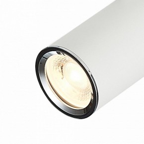 Светильник на штанге ST-Luce SKYLINE 220 ST504.506.01 в Озерске - ozersk.mebel24.online | фото 4