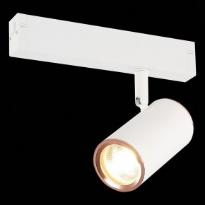 Светильник на штанге ST-Luce SKYLINE 220 ST504.526.01 в Озерске - ozersk.mebel24.online | фото 2