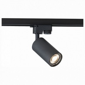 Светильник на штанге ST-Luce Solt ST300.406.01 в Озерске - ozersk.mebel24.online | фото 1
