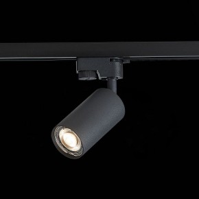 Светильник на штанге ST-Luce Solt ST300.406.01 в Озерске - ozersk.mebel24.online | фото 6