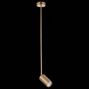 Светильник на штанге ST-Luce Sormano SL1206.303.01 в Озерске - ozersk.mebel24.online | фото 4