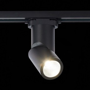 Светильник на штанге ST-Luce ST650 ST650.436.10 в Озерске - ozersk.mebel24.online | фото 3