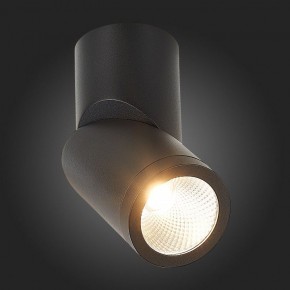 Светильник на штанге ST-Luce ST650 ST650.442.10 в Озерске - ozersk.mebel24.online | фото 6