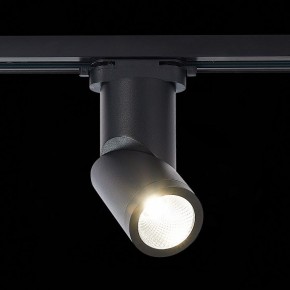 Светильник на штанге ST-Luce ST650 ST650.446.10 в Озерске - ozersk.mebel24.online | фото 2