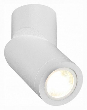 Светильник на штанге ST-Luce ST650 ST650.502.01 в Озерске - ozersk.mebel24.online | фото 3