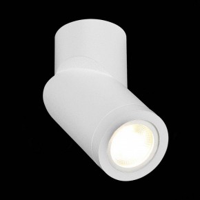 Светильник на штанге ST-Luce ST650 ST650.502.01 в Озерске - ozersk.mebel24.online | фото 4