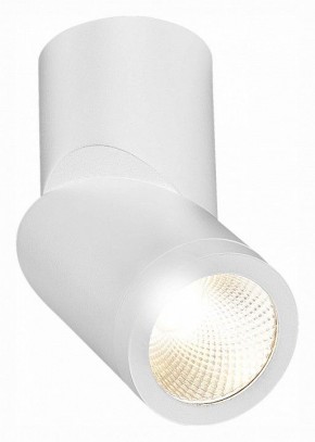 Светильник на штанге ST-Luce ST650 ST650.532.10 в Озерске - ozersk.mebel24.online | фото 3