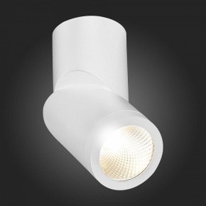 Светильник на штанге ST-Luce ST650 ST650.532.10 в Озерске - ozersk.mebel24.online | фото 6