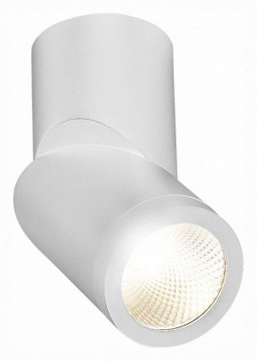 Светильник на штанге ST-Luce ST650 ST650.542.10 в Озерске - ozersk.mebel24.online | фото 3