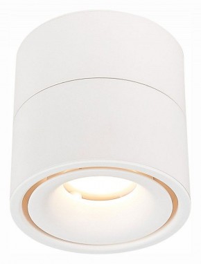 Светильник на штанге ST-Luce ST652 ST652.532.12 в Озерске - ozersk.mebel24.online | фото 2