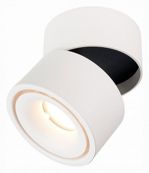 Светильник на штанге ST-Luce ST652 ST652.532.12 в Озерске - ozersk.mebel24.online | фото 3