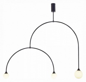 Светильник на штанге ST-Luce Vive SL1187.403.03 в Озерске - ozersk.mebel24.online | фото 2
