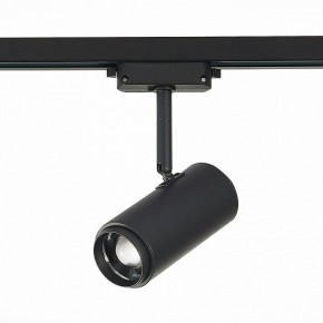 Светильник на штанге ST-Luce Zoom ST600.446.12 в Озерске - ozersk.mebel24.online | фото 3