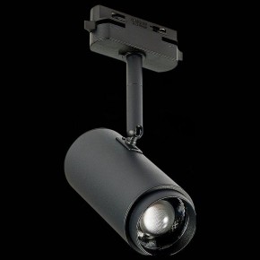 Светильник на штанге ST-Luce Zoom ST600.446.12 в Озерске - ozersk.mebel24.online | фото 4
