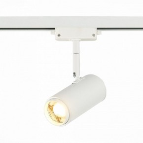 Светильник на штанге ST-Luce Zoom ST600.536.12 в Озерске - ozersk.mebel24.online | фото 2