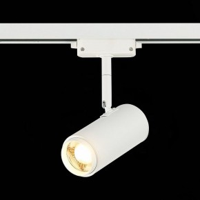 Светильник на штанге ST-Luce Zoom ST600.536.12 в Озерске - ozersk.mebel24.online | фото 4