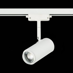 Светильник на штанге ST-Luce Zoom ST600.546.12 в Озерске - ozersk.mebel24.online | фото 5