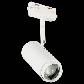 Светильник на штанге ST-Luce Zoom ST600.546.12 в Озерске - ozersk.mebel24.online | фото 6
