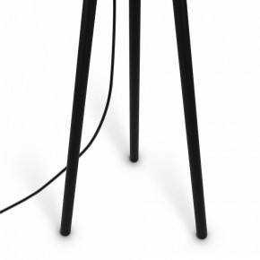 Торшер Maytoni Calvin Z177FL-01B в Озерске - ozersk.mebel24.online | фото 7