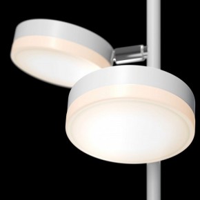Торшер Maytoni Fad MOD070FL-L12W3K в Озерске - ozersk.mebel24.online | фото 5
