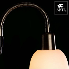 Торшер с подсветкой Arte Lamp Duetto A9569PN-2AB в Озерске - ozersk.mebel24.online | фото 4
