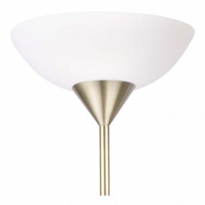 Торшер с подсветкой Arte Lamp Duetto A9569PN-2AB в Озерске - ozersk.mebel24.online | фото 5