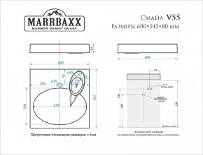 Умывальник над стиральной машиной (600*545*80) Смайл V55D1 (белый) с кронштейном без сифона (V55D1) в Озерске - ozersk.mebel24.online | фото 2