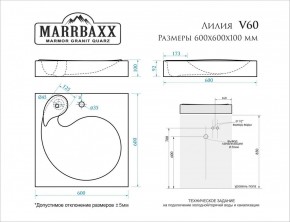 Умывальник над стиральной машиной (600*600х100) Лилия V60 (белый) с кронштейном без сифона (V60) в Озерске - ozersk.mebel24.online | фото 2