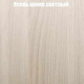 ВЕНЕЦИЯ Стенка (3400) ЛДСП в Озерске - ozersk.mebel24.online | фото 6