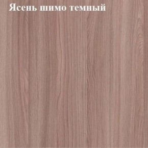 Вешалка для одежды (Ясень шимо темный) в Озерске - ozersk.mebel24.online | фото 2