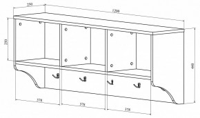 Вешалка-полка ДримСтар ДС-30 в Озерске - ozersk.mebel24.online | фото 2