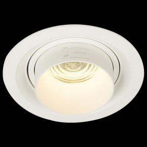 Встраиваемый светильник ST-Luce Zoom ST701.538.12 в Озерске - ozersk.mebel24.online | фото 4