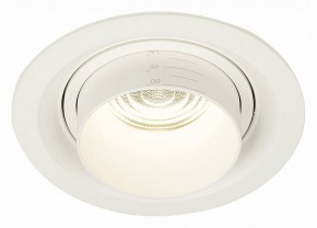 Встраиваемый светильник ST-Luce Zoom ST701.548.12 в Озерске - ozersk.mebel24.online | фото 2