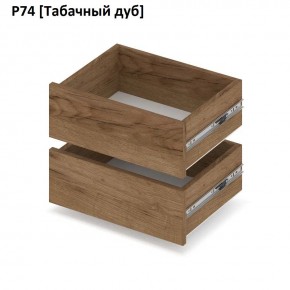 РОЛАНД Выдвижные ящики  Р76 в Озерске - ozersk.mebel24.online | фото 10